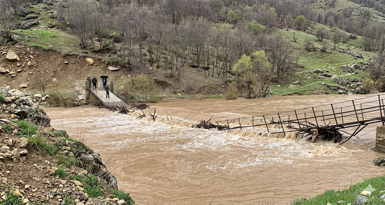 Munzur Nehri Taştı: Ovacık'ta Asma Köprü Çöktü