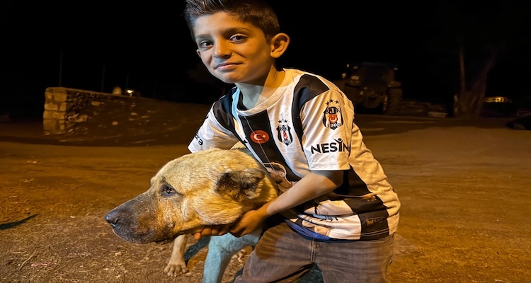 Erzurum’da Ayı Dehşeti Çoban Köpeği Kral Çocuğun Hayatını Kurtardı